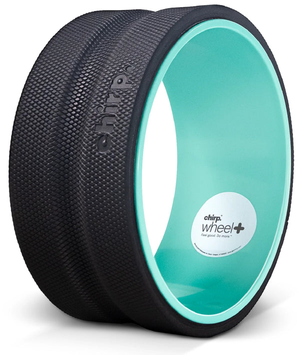 Chirp Wheel Plus 10" Fast